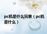 pc機(jī)是什么玩意（pc機(jī)是什么）