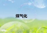 煤氣化