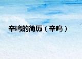 辛鳴的簡(jiǎn)歷（辛鳴）