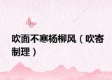 吹面不寒楊柳風（吹寄制理）