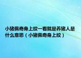 小豬佩奇身上紋一看就是養(yǎng)豬人是什么意思（小豬佩奇身上紋）