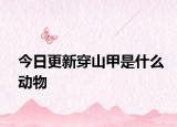 今日更新穿山甲是什么動物