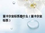 笛卡爾坐標(biāo)系是什么（笛卡爾坐標(biāo)系）