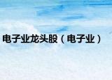 電子業(yè)龍頭股（電子業(yè)）