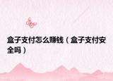 盒子支付怎么賺錢（盒子支付安全嗎）