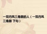 一雙丹鳳三角眼的人（一雙丹鳳三角眼 下句）
