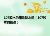 107膠水的用途防水嗎（107膠水的用途）