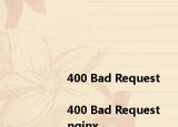 <html>
<head><title>400 Bad Request<title><head>
<body>
<center><h1>400 Bad Request<h1><center>
<hr><center>nginx<center>
<body>
<html>
