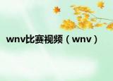 wnv比賽視頻（wnv）