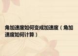 角加速度如何變成加速度（角加速度如何計算）
