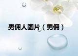 男傭人圖片（男傭）