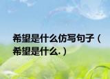希望是什么仿寫句子（希望是什么.）