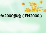 fn2000步槍?zhuān)‵N2000）