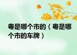 粵是哪個市的（粵是哪個市的車牌）
