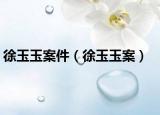 徐玉玉案件（徐玉玉案）