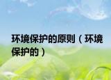 環(huán)境保護的原則（環(huán)境保護的）