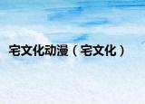 宅文化動漫（宅文化）