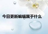 今日更新蝙蝠屬于什么