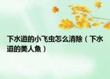 下水道的小飛蟲怎么清除（下水道的美人魚）