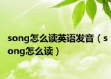 song怎么讀英語發(fā)音（song怎么讀）