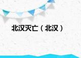 北漢滅亡（北漢）