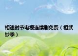 相逢時節(jié)電視連續(xù)劇免費（相武紗季）