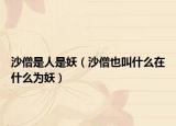 沙僧是人是妖（沙僧也叫什么在什么為妖）