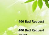 <html>
<head><title>400 Bad Request<title><head>
<body>
<center><h1>400 Bad Request<h1><center>
<hr><center>nginx<center>
<body>
<html>
