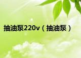 抽油泵220v（抽油泵）