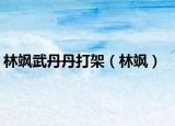 林颯武丹丹打架（林颯）