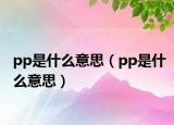 pp是什么意思（pp是什么意思）