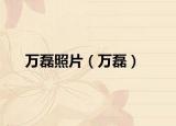 萬磊照片（萬磊）