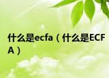 什么是ecfa（什么是ECFA）