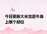 今日更新大米龍是牛身上哪個部位