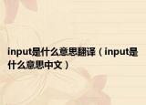 input是什么意思翻譯（input是什么意思中文）