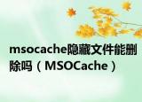 msocache隱藏文件能刪除嗎（MSOCache）