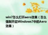 win7怎么打開aero效果（怎么強制開啟Windows7中的Aero效果）