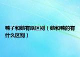 鴨子和鵝有啥區(qū)別（鵝和鴨的有什么區(qū)別）