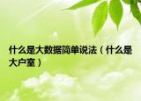 什么是大數(shù)據(jù)簡單說法（什么是大戶室）