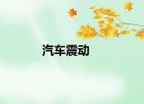 汽車震動(dòng)