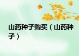 山藥種子購買（山藥種子）