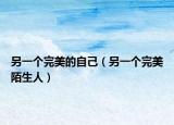 另一個完美的自己（另一個完美陌生人）