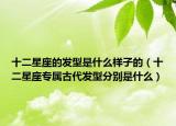 十二星座的發(fā)型是什么樣子的（十二星座專屬古代發(fā)型分別是什么）