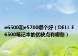 e6500和e5700哪個(gè)好（DELL E6500筆記本的優(yōu)缺點(diǎn)有哪些）