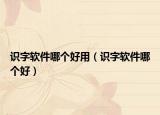 識字軟件哪個好用（識字軟件哪個好）
