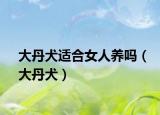 大丹犬適合女人養(yǎng)嗎（大丹犬）