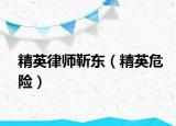 精英律師靳東（精英危險）