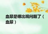 血尿是哪出現(xiàn)問題了（血尿）
