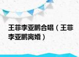 王菲李亞鵬合唱（王菲李亞鵬離婚）