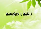 務(wù)實高效（務(wù)實）